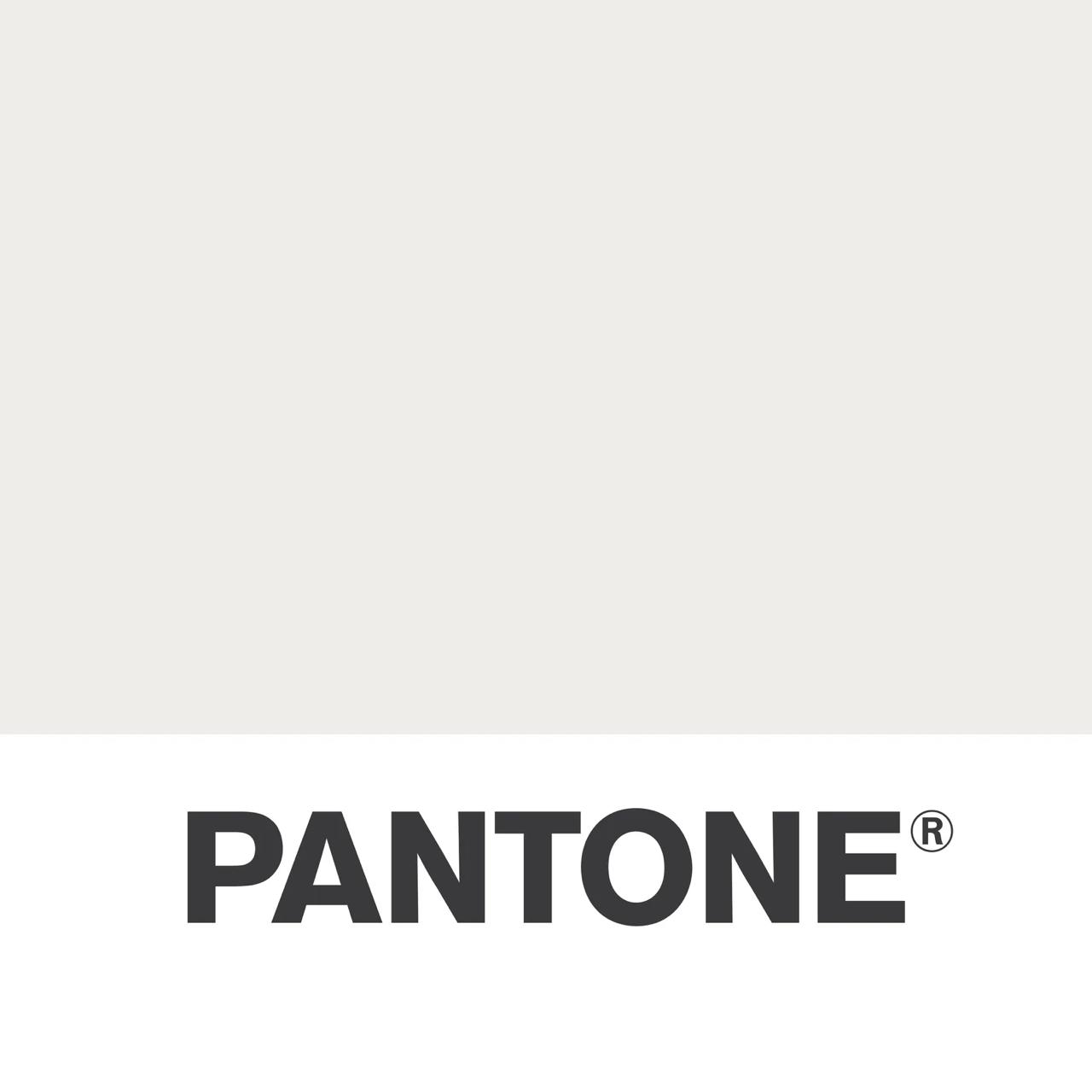 Институт цвета Pantone назвал цвет 2026 года